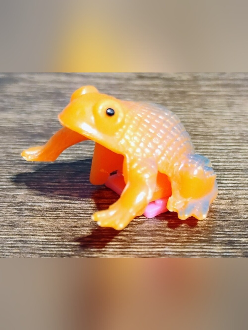 Orange Frog Toy